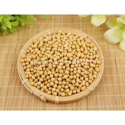 Soybean Soybean Health Benefits Factory